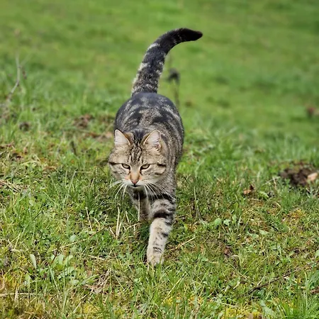 Natur- & Erlebnis * Voitsberg
