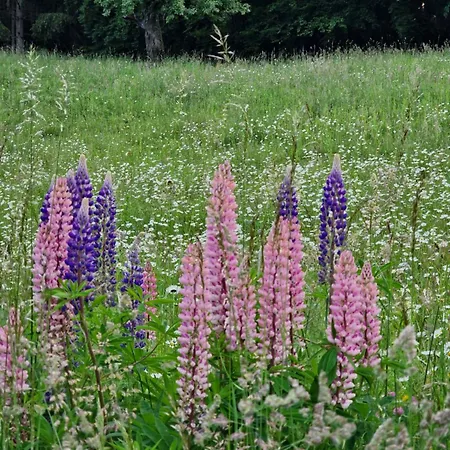 Natur- & Erlebnis Appartement Voitsberg