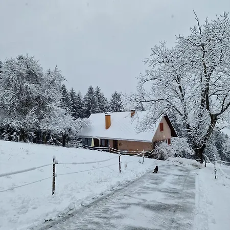 Natur- & Erlebnis Lejlighed Voitsberg