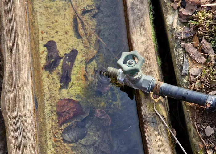 Apartment Natur- & Erlebnis Voitsberg