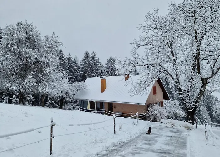 Natur- & Erlebnis 公寓 沃茨伯格